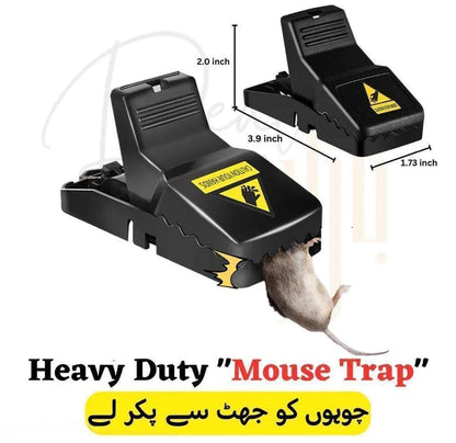 High Quality Snap Mouse Trap with Free Delivery - PalmShop