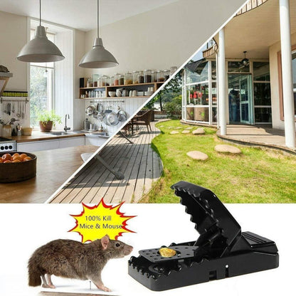 High Quality Snap Mouse Trap with Free Delivery - PalmShop